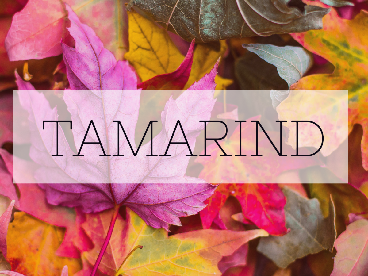 Tamarind E11 – (The&nbsp;Finale)